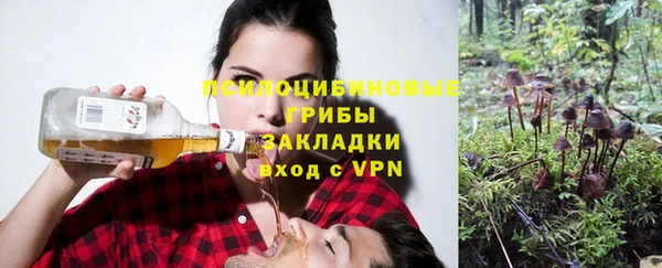 ECSTASY Алзамай