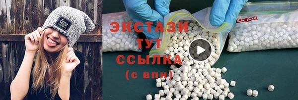 ECSTASY Алзамай