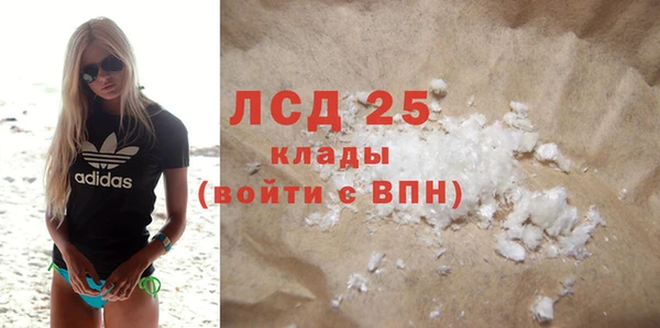 ECSTASY Алзамай