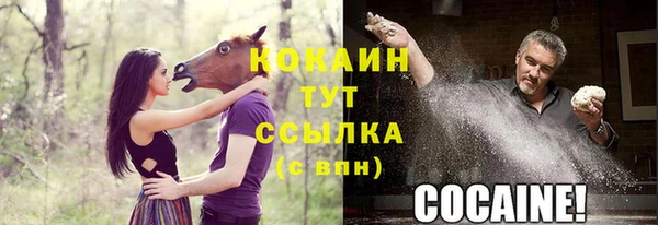ECSTASY Алзамай