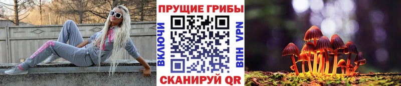 Псилоцибиновые грибы прущие грибы  купить  цена  kraken сайт  Николаевск-на-Амуре 